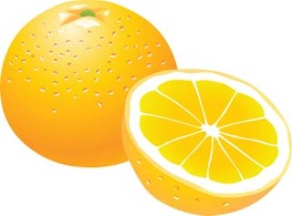 Citrus fruit 10