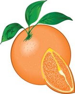 Citrus fruit 5