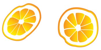 Citrus fruit 9 Thumbnail