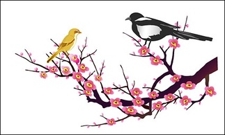 Classical auspicious vector of material - magpie map Thumbnail