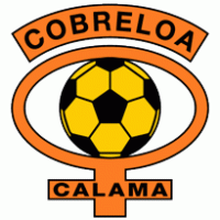 Club de Deportes Cobreloa de Calama