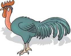 Cock 6