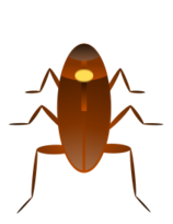 Cockroach. Cucaracha Thumbnail