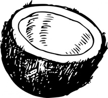 Coconut clip art