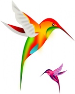 Colibri Birds clip art Thumbnail