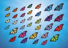 Colorful Butterflies