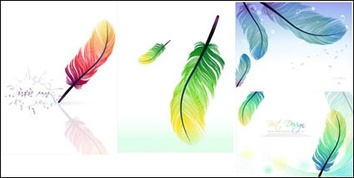 Colorful feathers vector Thumbnail