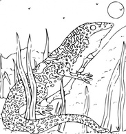 Coloring Book Monitor Gecko clip art