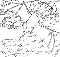 Coloring Book Ozark Big Eared Bat clip art