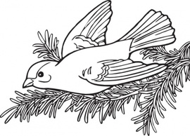 Coloring Book Willow Goldfinch clip art Thumbnail