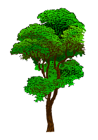 Colorized Tree