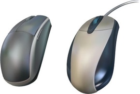 Computer Mouse