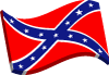 Confederate 3d Flag