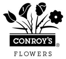 Conroy S Flowers