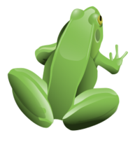 Cool Frog