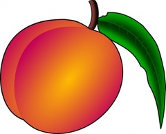 Coredump Peach clip art Thumbnail