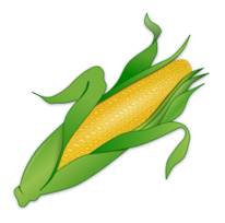 Corn Thumbnail