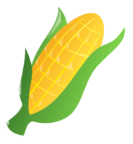 Corn ns