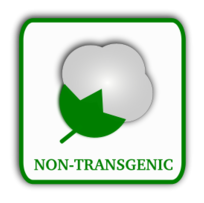 Cotton (non-transgenic) Thumbnail