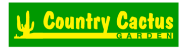 Country Cactus