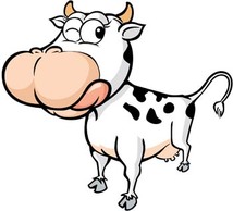 Cow 17