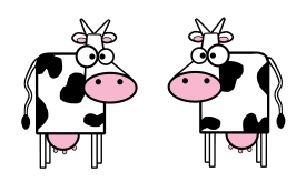 Cows