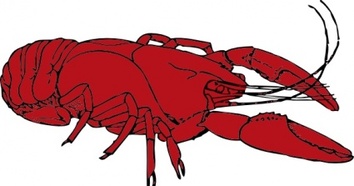 Crayfish clip art Thumbnail