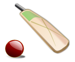 Cricket_02