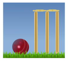 Cricket Illustration Thumbnail
