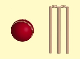 Cricket Vectors Thumbnail