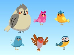 Cute Birds