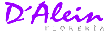 D Alein Floreria Thumbnail