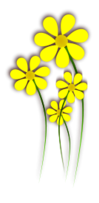 Daisies