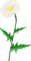 Daisy clip art