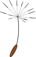 Dandelionseed clip art