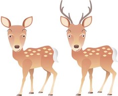 Deer 5