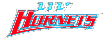 Delaware State Hornets Thumbnail