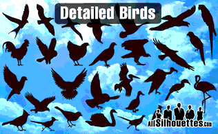 Detailed Vector Birds Thumbnail