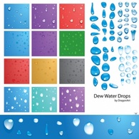 Dew Water Drops Vector Thumbnail