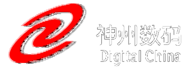 Digital China