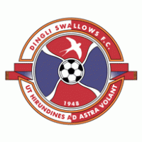 Dingli Swallows FC