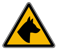 Dog hazard 2