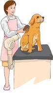 Dog stylist Thumbnail