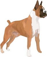 Dog Vector 9