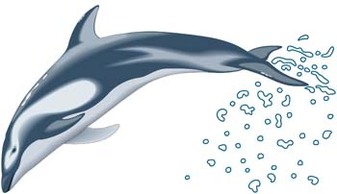 Dolphin Vector 3