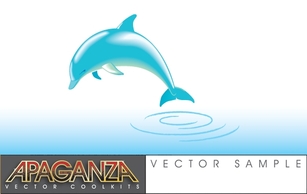 Dolphin Vector