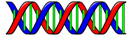 Double Helix (DNA) Thumbnail