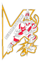 Drummondville Voltigeurs