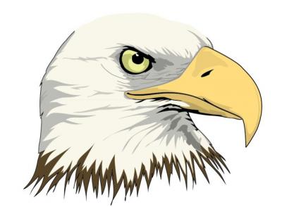 Eagle Vector Thumbnail
