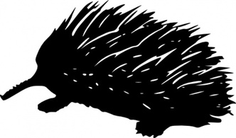 Echidna clip art Thumbnail